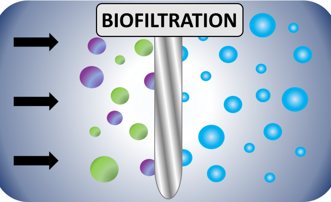 bio filtration