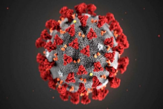 coronavirus